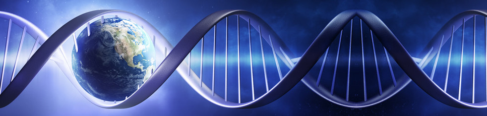 7th Bulgarian Peptide Symposium cropped-dna-featured-image